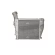 Intercooler, échangeur NRF 30782 - Visuel 3