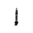 Intercooler, échangeur NRF 30796 - Visuel 2