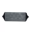 Intercooler, échangeur NRF 30803 - Visuel 3