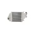 Intercooler, échangeur NRF 30865 - Visuel 1