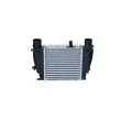 Intercooler, échangeur NRF 30866 - Visuel 3