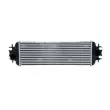 Intercooler, échangeur NRF 30875 - Visuel 1