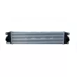 Intercooler, échangeur NRF 30877 - Visuel 1
