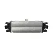 Intercooler, échangeur NRF 30879 - Visuel 1