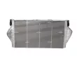Intercooler, échangeur NRF 30893 - Visuel 3