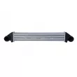 Intercooler, échangeur NRF 30900 - Visuel 1