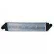 Intercooler, échangeur NRF 30906 - Visuel 1