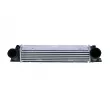 Intercooler, échangeur NRF 30907A - Visuel 1