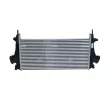 Intercooler, échangeur NRF 30917 - Visuel 1