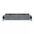 Intercooler, échangeur NRF 30920 - Visuel 1