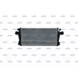 Intercooler, échangeur NRF 30921 - Visuel 1