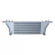 Intercooler, échangeur NRF 30928 - Visuel 1