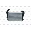 Intercooler, échangeur NRF 30937 - Visuel 1