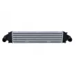 Intercooler, échangeur NRF 30951 - Visuel 1