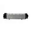 Intercooler, échangeur NRF 30955 - Visuel 1