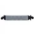 Intercooler, échangeur NRF 30957 - Visuel 1