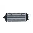 Intercooler, échangeur NRF 30960 - Visuel 3