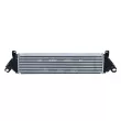 Intercooler, échangeur NRF 30964 - Visuel 1