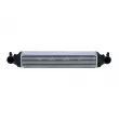 Intercooler, échangeur NRF 30966 - Visuel 1