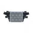 Intercooler, échangeur NRF 30969 - Visuel 1