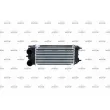 Intercooler, échangeur NRF 30979 - Visuel 1