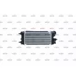 Intercooler, échangeur NRF 30979 - Visuel 3