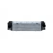 Intercooler, échangeur NRF 30983 - Visuel 1