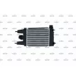 Intercooler, échangeur NRF 30985 - Visuel 3
