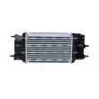 Intercooler, échangeur NRF 30986 - Visuel 3