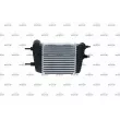 Intercooler, échangeur NRF 30987 - Visuel 3