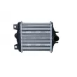 Intercooler, échangeur NRF 30988 - Visuel 1