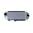 Intercooler, échangeur NRF 30989 - Visuel 1