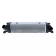 Intercooler, échangeur NRF 30996 - Visuel 1