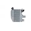 Intercooler, échangeur NRF 30999 - Visuel 3
