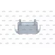 Radiateur d'huile NRF 31798 - Visuel 1