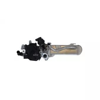 Module-EGR NRF 48205