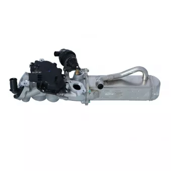 Module-EGR NRF 48206