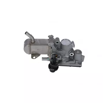 Module-EGR NRF