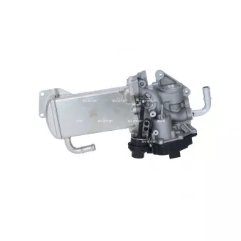 Module-EGR NRF 48209