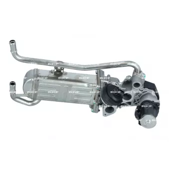 Module-EGR NRF