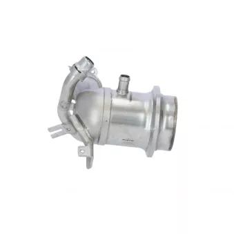 Module-EGR NRF 48220