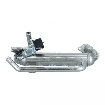 Module-EGR NRF 48306