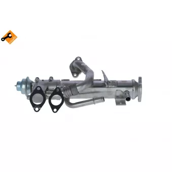 Module EGR NRF 48358