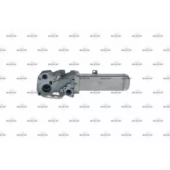 Module EGR NRF 48359