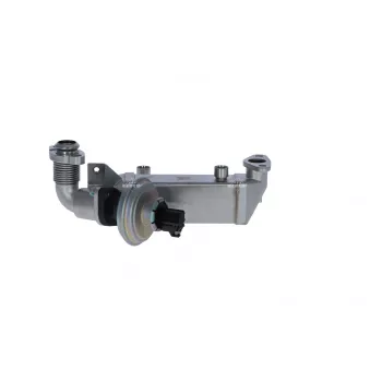 Module-EGR NRF 48365