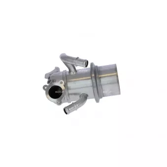 Module-EGR NRF