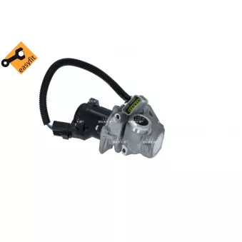 Vanne EGR NRF 48385