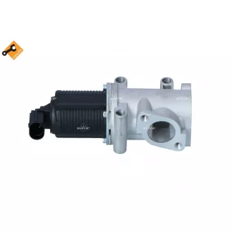 Vanne EGR NRF 48396