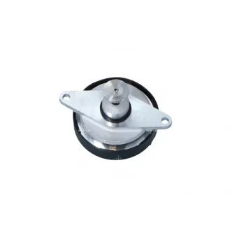 Vanne EGR NRF 48399