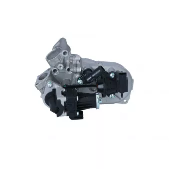 Module-EGR NRF 48450